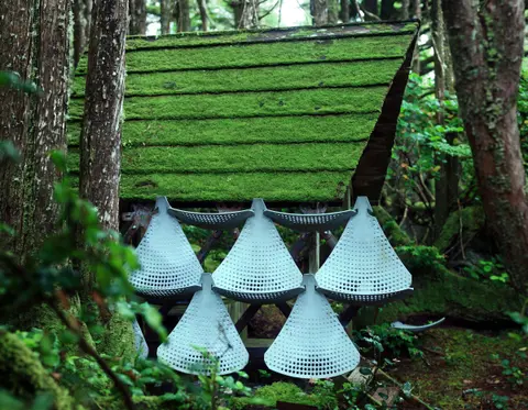 White perforated concrete cones hanging below a moss-covered panel in a forest
