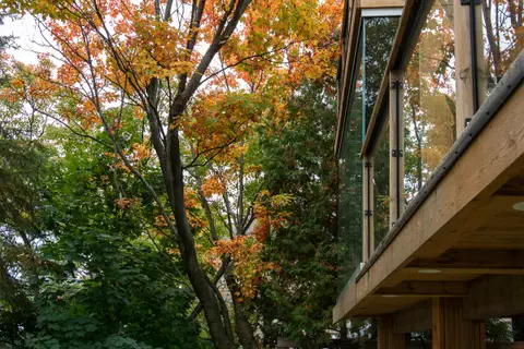 The nail-laminated timber balcony and solarium seen from below among the trees
