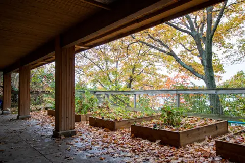 Patio under the balcony with timber posts, planters and fallen leaves
