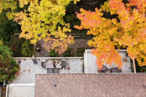 Aerial view of the roof deck surrounded by orange and yellow maple canopy